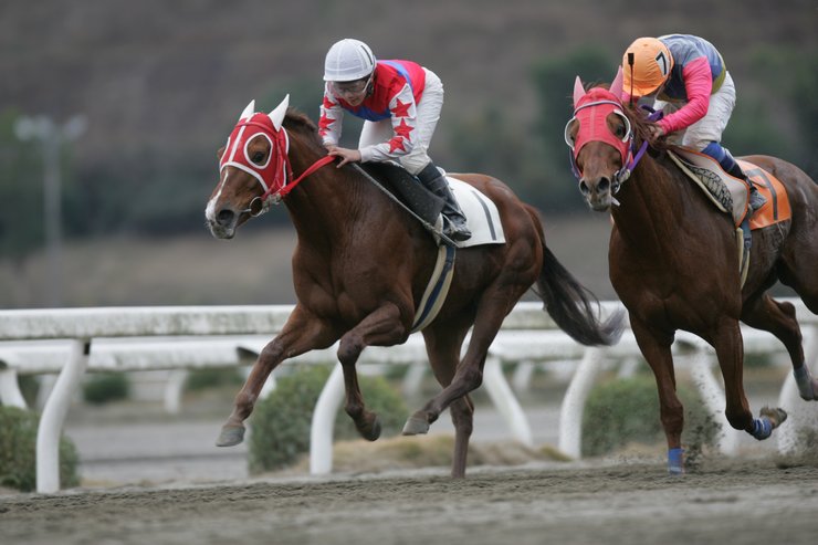 07年初勝利
